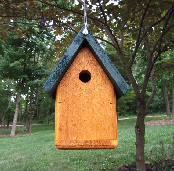 JCs Wildlife All Cedar Wood Barn Wren Bird House w/ Hanging