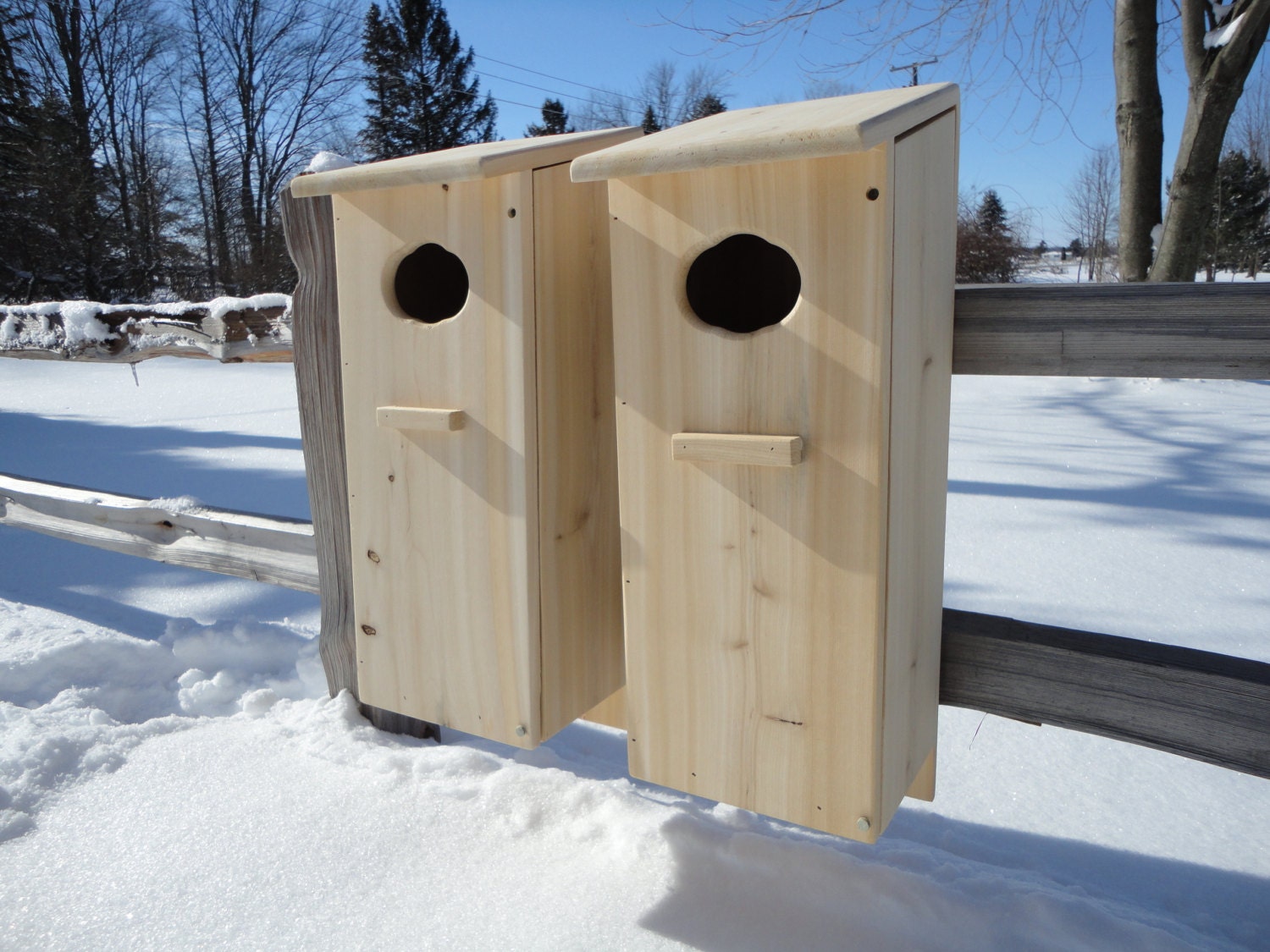 2-pack-wood-duck-nesting-box