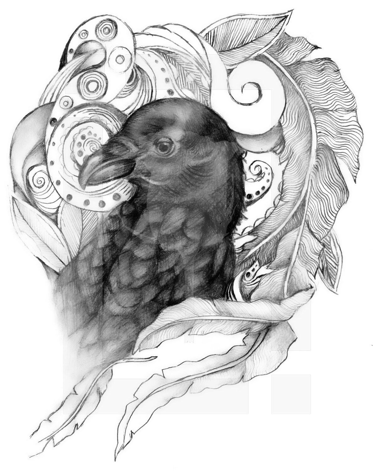 Pen and Ink of a crow by TheArtShingle on Etsy