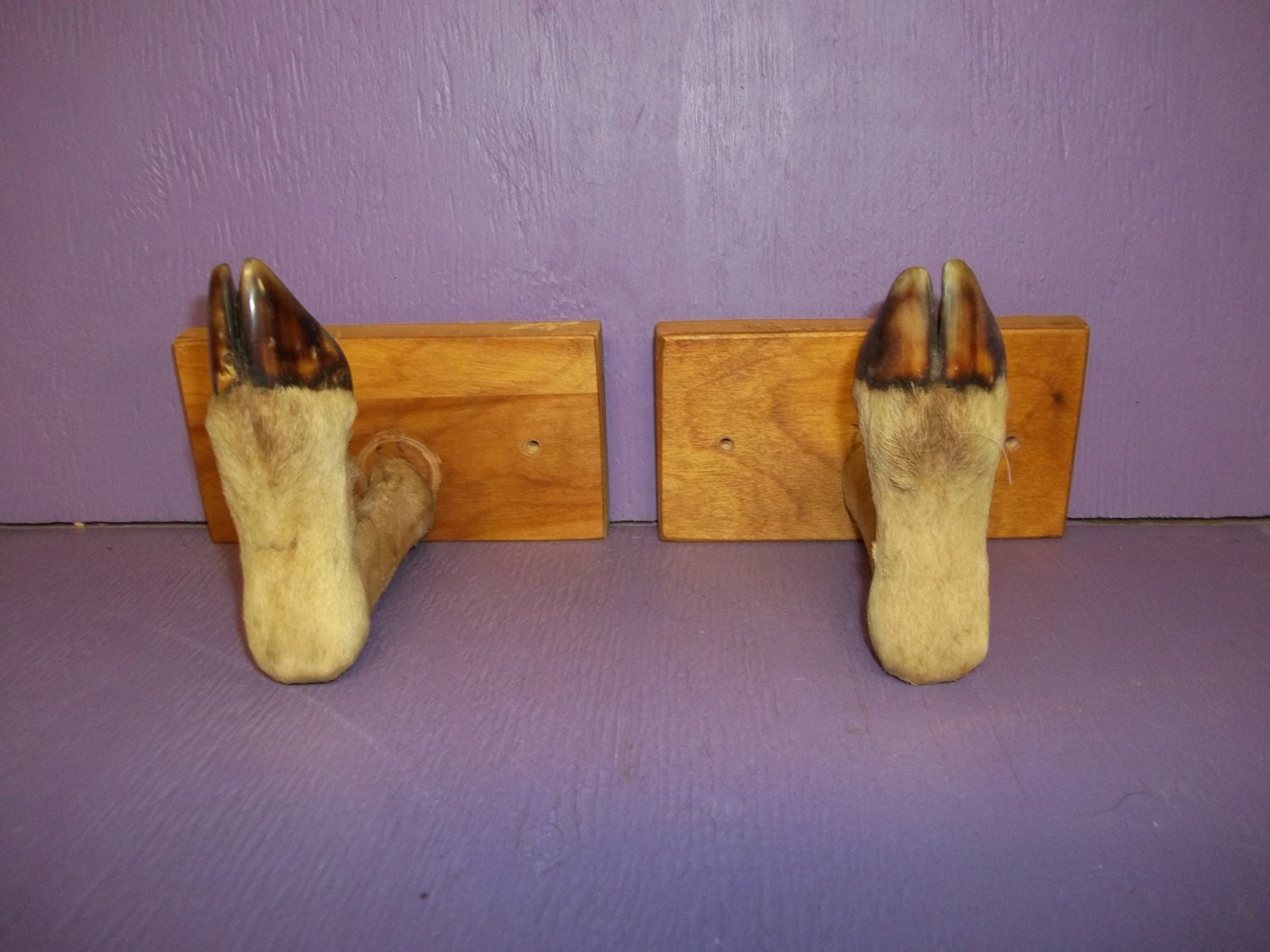 2 deer foot leg gun coat hat rack real animal taxidermy part