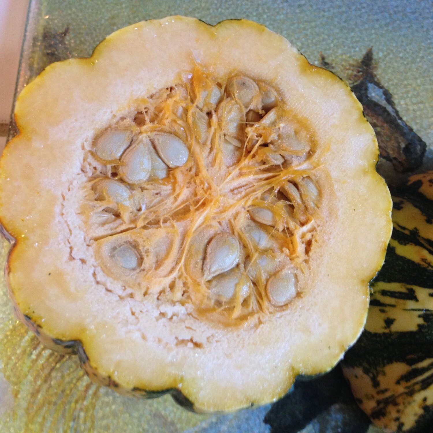 ACORN SQUASH Seeds Organic Heirloom ChemicalFree NonGmo