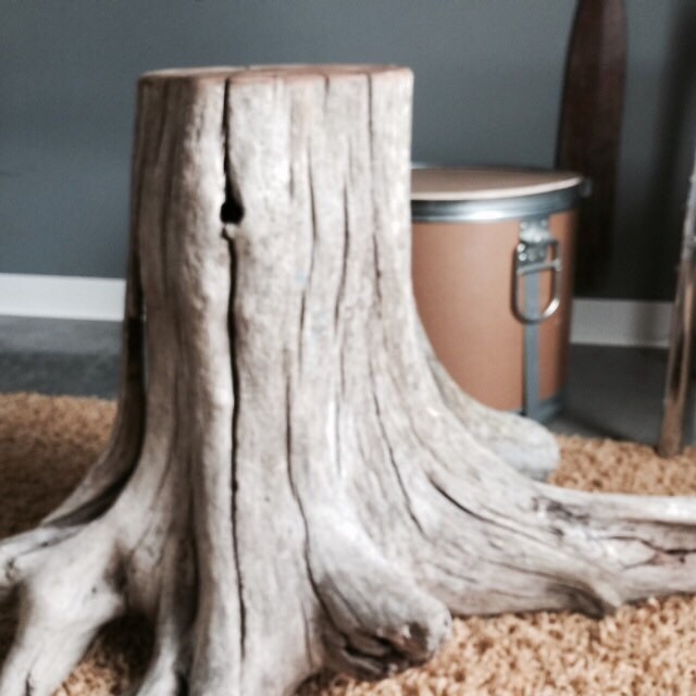 Driftwood stump