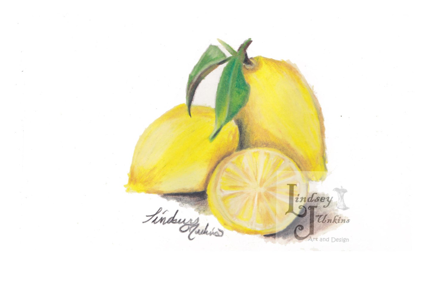  Lemon still life colored pencil drawing in an 8x10 gray mat