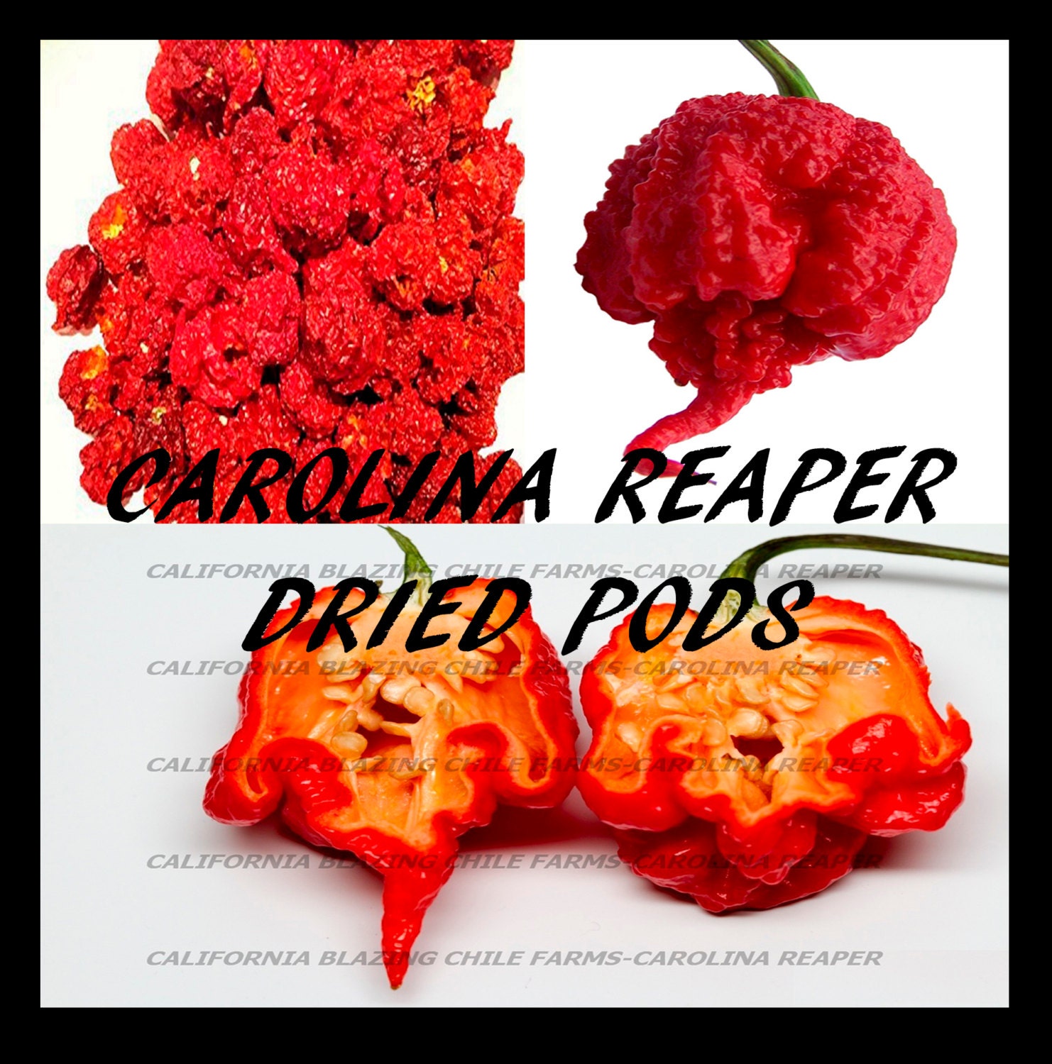 california reaper pepper
