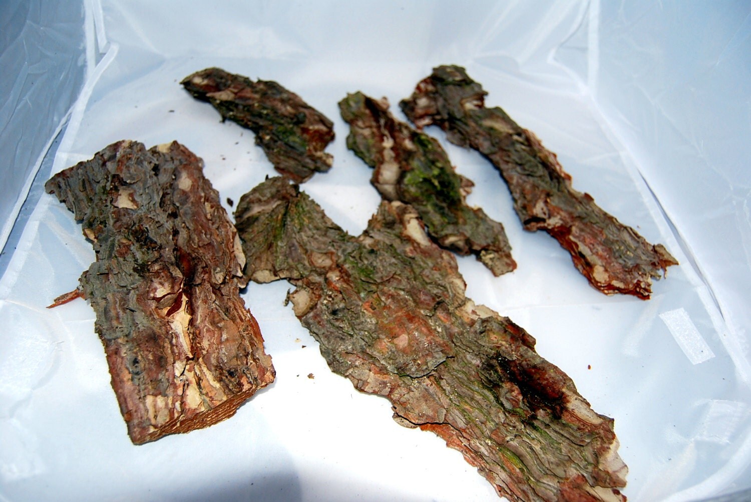 Pine bark sheets for terrarium vivarium crafts by Scandicreations