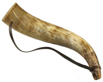 Natural Oxhorn trumpet - blowing horn. Viking / Saxon re-enactment.