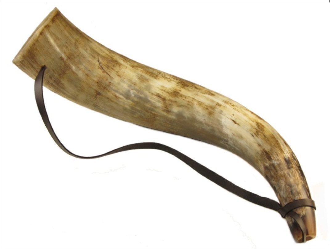 Natural Oxhorn trumpet blowing horn. Viking / Saxon