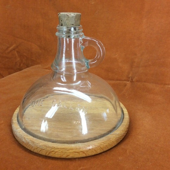 Sliced gallon glass jug with wood bottom terrarium bottle