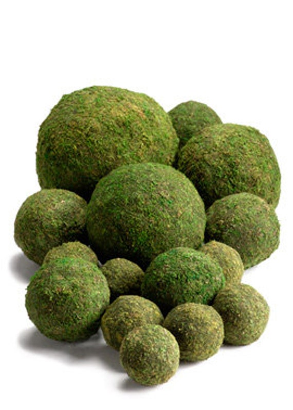 All Natural Moss Balls 46 & 8 Perfect