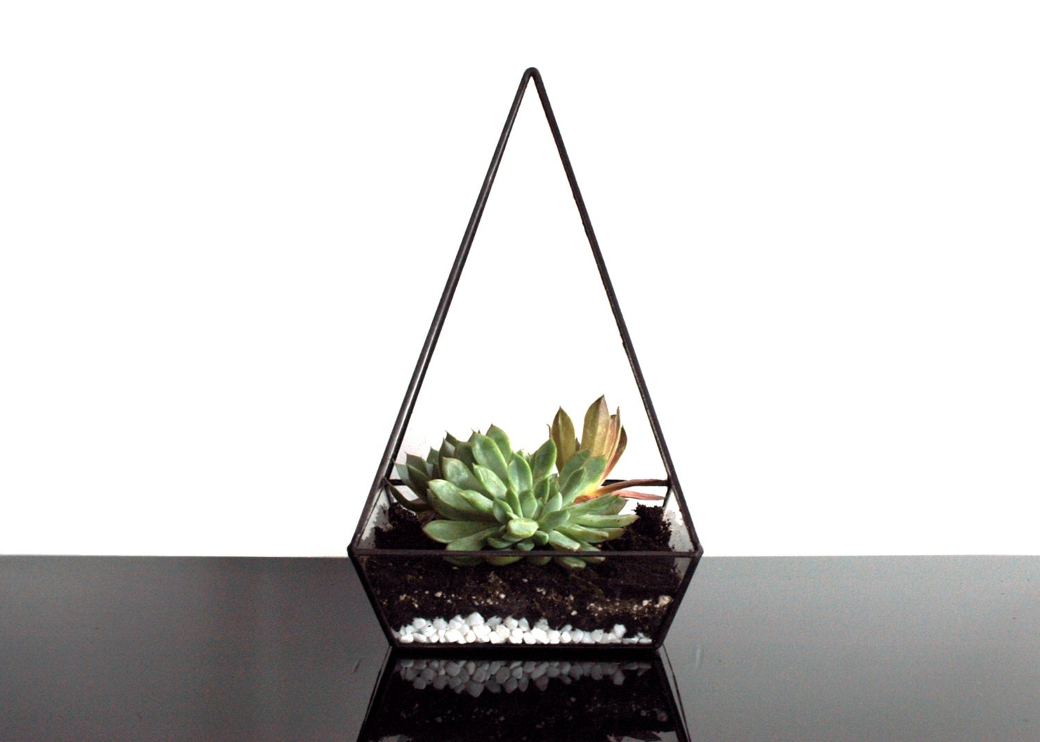 Geometric Glass Terrarium / Pyramid / Pyramid Terrarium