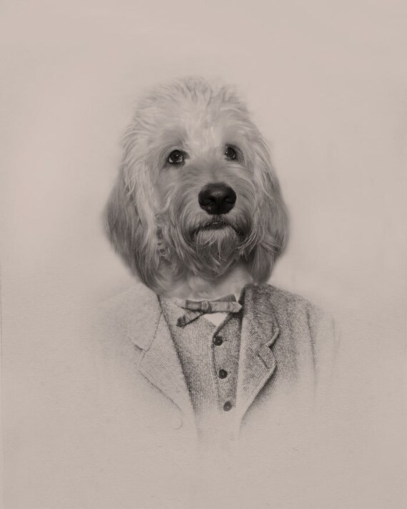 8x10 Vintage Animal Portrait by bradykennedyvintage on Etsy