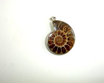 Ammonite Pendant, Fossil Pendant, with Silver Tone Base Metal Bail, Size from 22x28 mm to 25x32 mm, 1 piece (108049001)