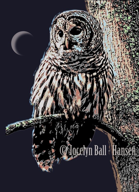 Items similar to Barred Owl and Crescent Moon Wall Art, Graphic