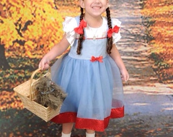 Dorothy Costume Tutu Dress: Blue and White gingham with red sparkle, wonderful wizard of oz, birthday party, halloween, dress-up, adjustable