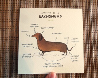 Anatomy Of A Dachshund Card
