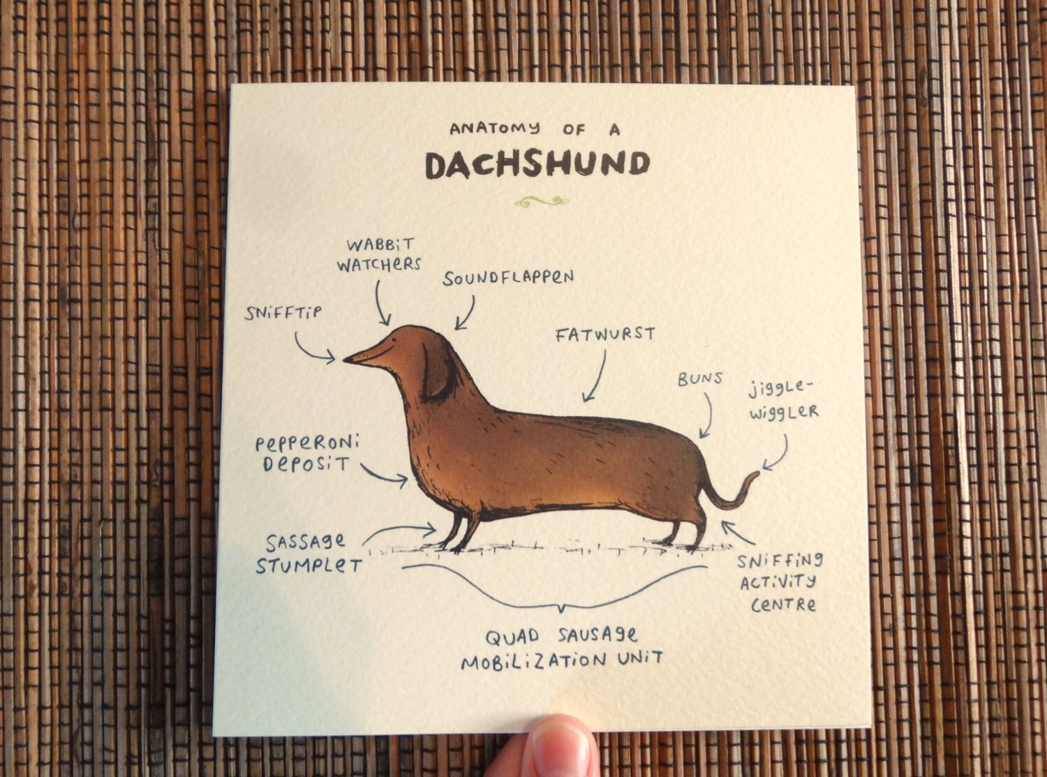 Anatomy Of A Dachshund Card by on Etsy