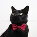 Cat Bow Tie - Satin - More Colors