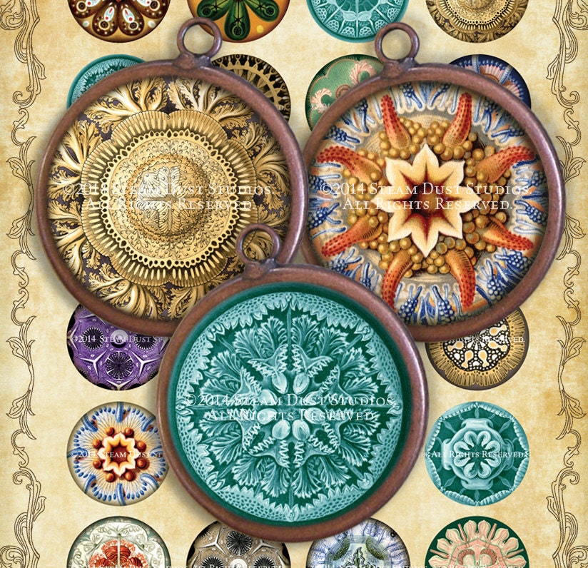 Victorian Steampunk Natural History - Ernst Haeckel - Victorian Nature - 1.5" Circles - Digital Collage Sheet, Printables, Instant Download