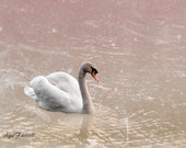 Animal Print, Pink Nursery Decor, Swan Print, Nature Art Poster, Girls Room Wall Decor Surreal Photography, Nursery Wall Art Girls Room