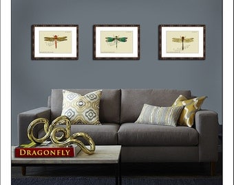 Dragonfly Print Set, Set of 3, Antique Dragonfly, Vintage Insect Prints, Botanical Nature Art, Wall Decor, Green prints, Yellow prints