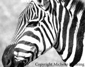 Zebra Profile - Digital Photography - Zebra Art, Zebra Photography, Zebra Safari Art, Zebra Stripes, Zebra Room Decor, Zebra Wall Art