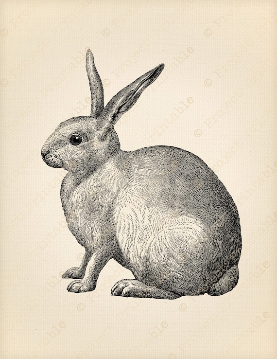 Printable Digital Graphics Vintage Bunny RABBIT Fabric