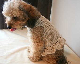 Knitted dog dress, XXS Dog Clothing, Dog Top, Poodle, Chihuahua, Bichon, Maltese, Yorkie Dress by BubaDog