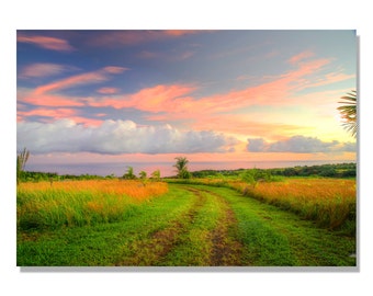 maui photo,Hawaii photo,tropical wall art,hawaiian decor, sugarcane field photo,tropical decor,beach decor, hawaiian wall art,road to hana