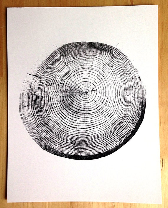 Tree Stump Tree Rings Screen Print 11x14