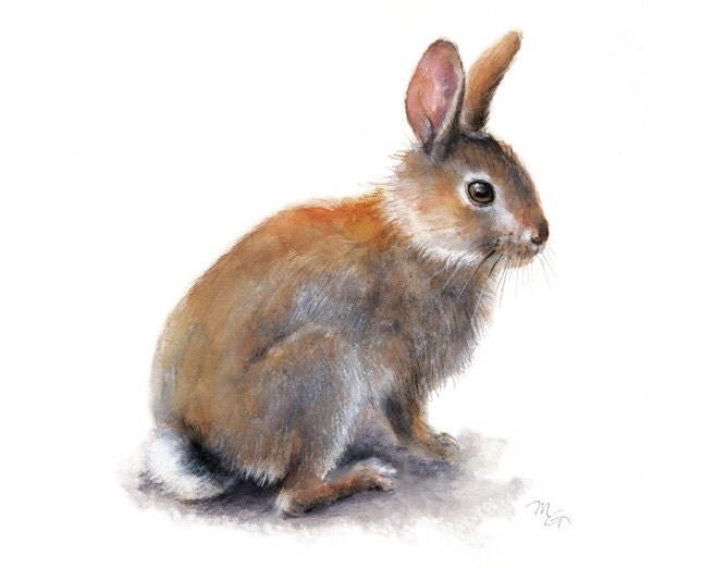 Bunny Rabbit Watercolor Painting. Art Print. Nature Animal