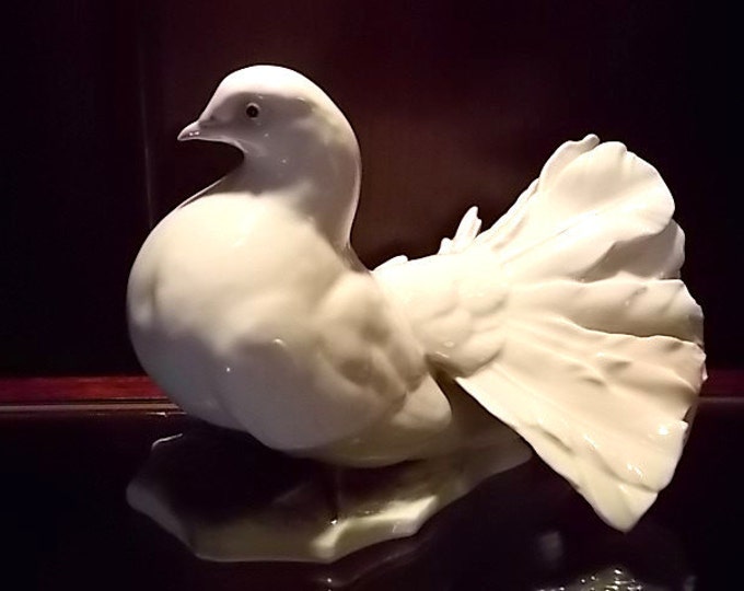 White Dove Signed Heidenreich