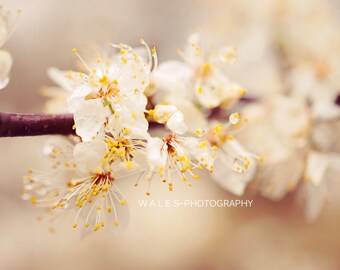 Unavailable Listing on Etsy