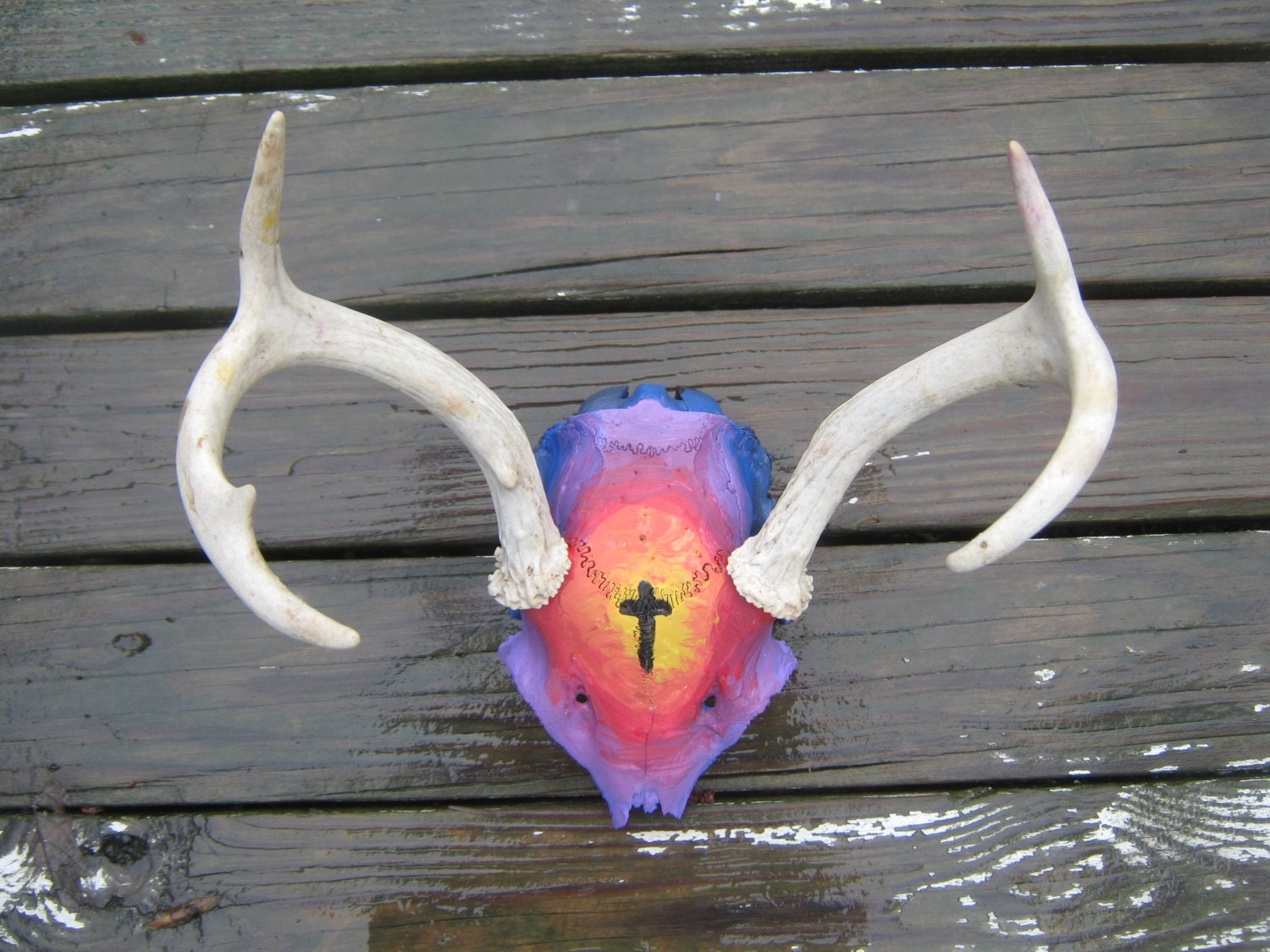 Hand Painted Deer Skull Animal Skull Deer by ChicShedJewelry