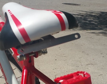 bicycle license plate mount