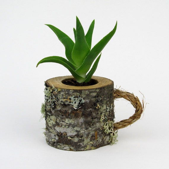Mini Log Mug Succulent Pots Rustic Coffee Mug Plant Holder Boss Mug 