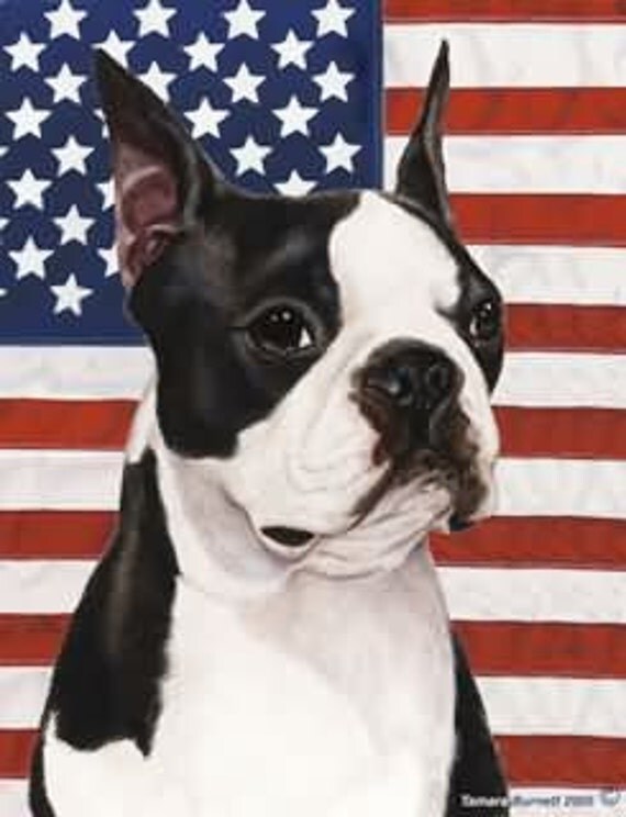 Boston Terrier Patriotic TBII Flag 28 x 40 inches