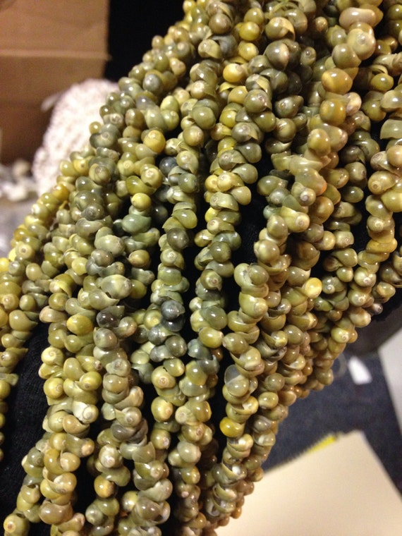 Yellow mongo shells by the strand by hulamelani on Etsy