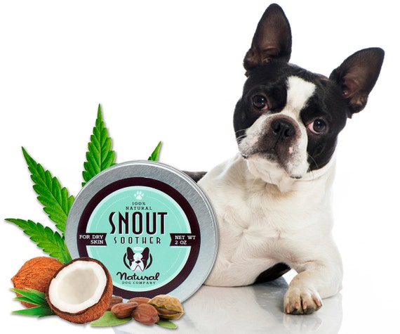 Boston Terrier Nose Balm | SNOUT SOOTHER ORGANIC salve for Boston Terriers with Dry Dog Noses | 2oz (59mL) tin