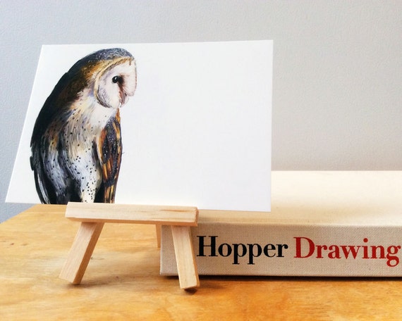 Barn Owl Art Print