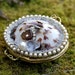 Delicately Jeweled Limpet / Shell Vintage Snuff Box with Vintage Pearl Rhinestone Trim