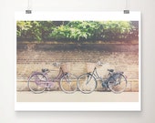 bicycle photograph, cambridge photograph, maroon, black, bike, color photography, brick wall, green tree, wanderlust, travel photography