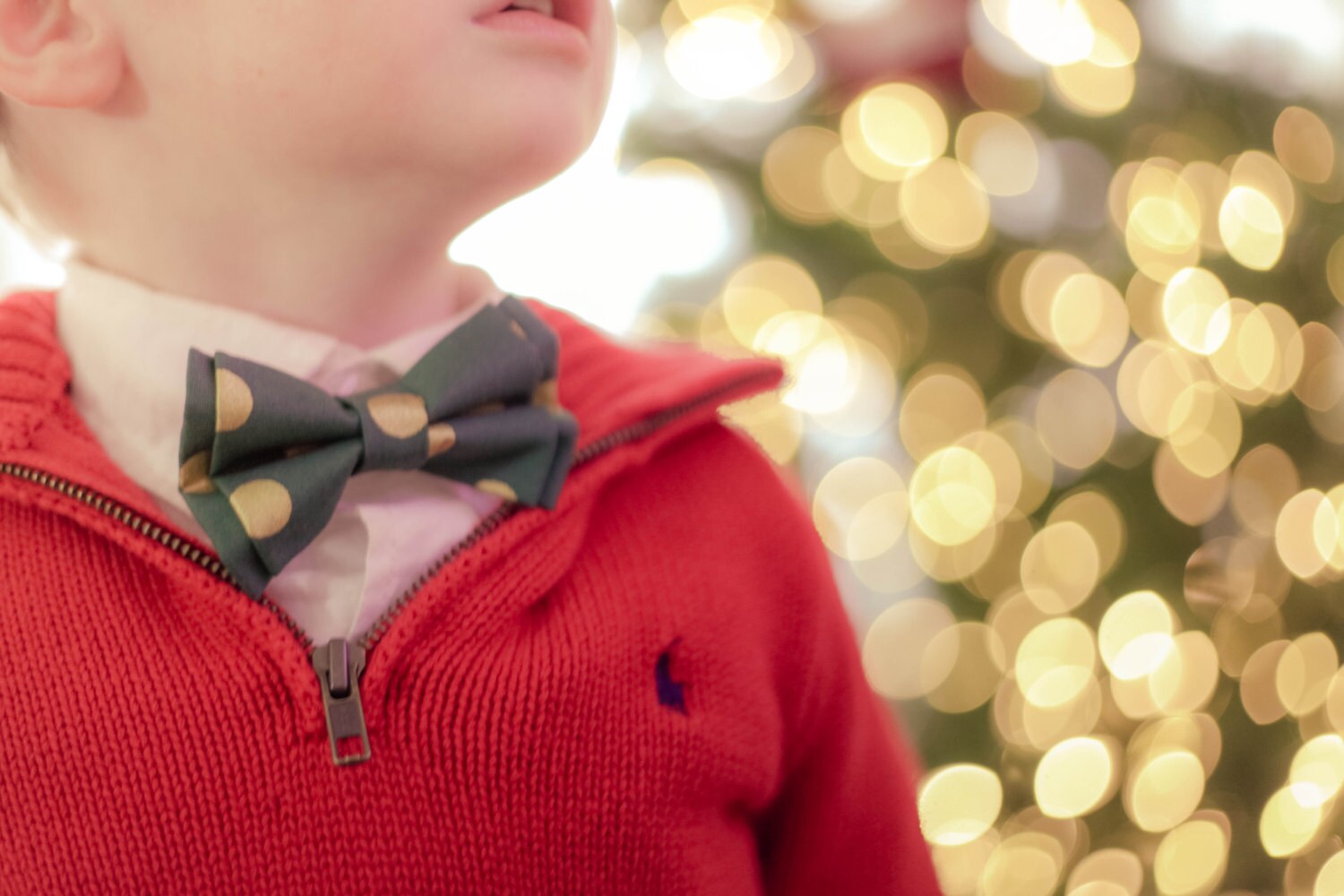 patriotic bow ties