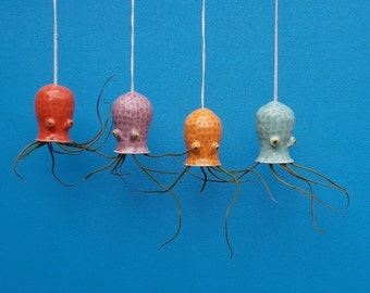 Octopus Hanging Planter,Air Plant, Small. Graduation, Birthday, Tillandsia