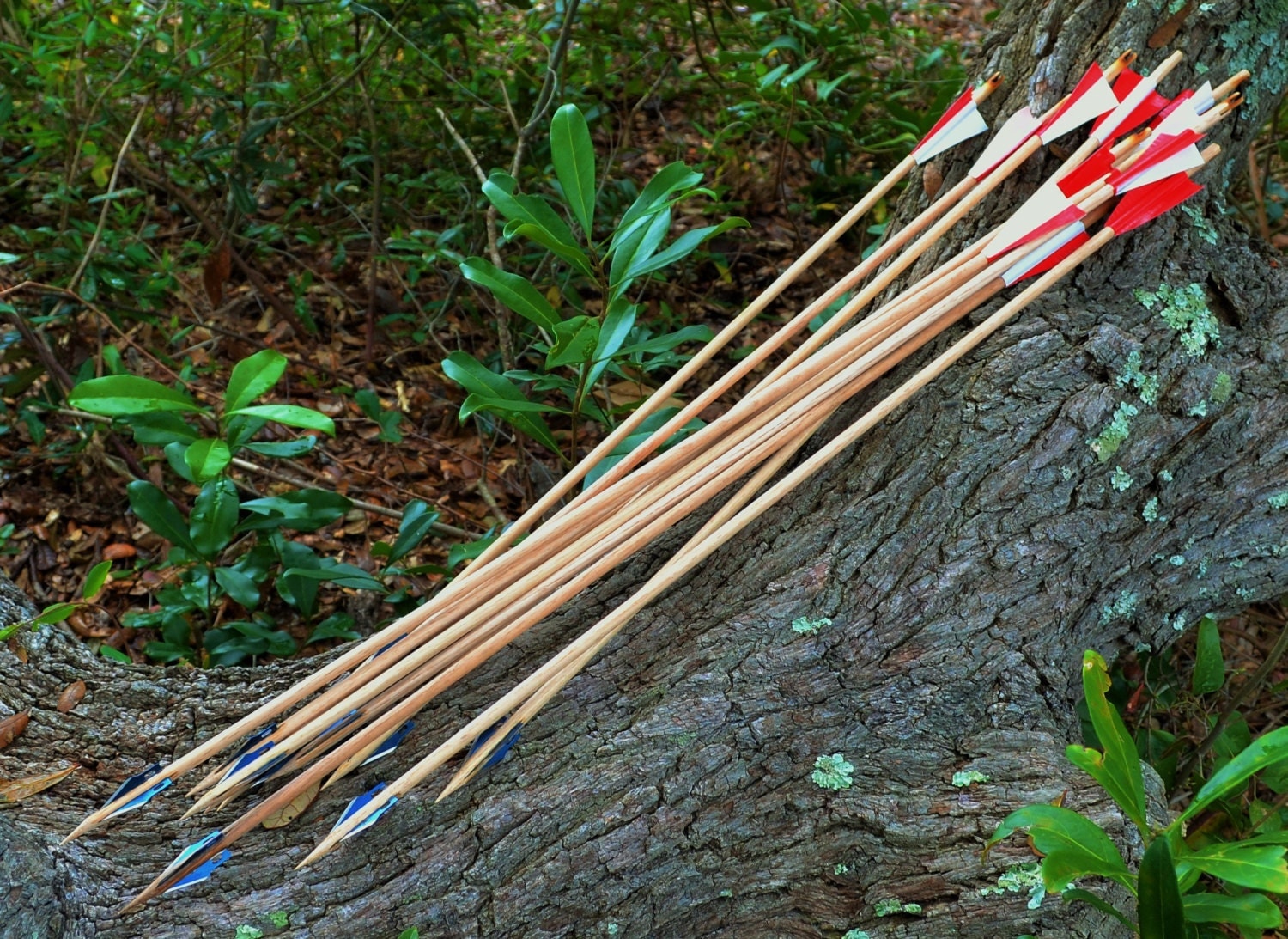 12 Natural Wooden Hunting Arrows with Razor Blades