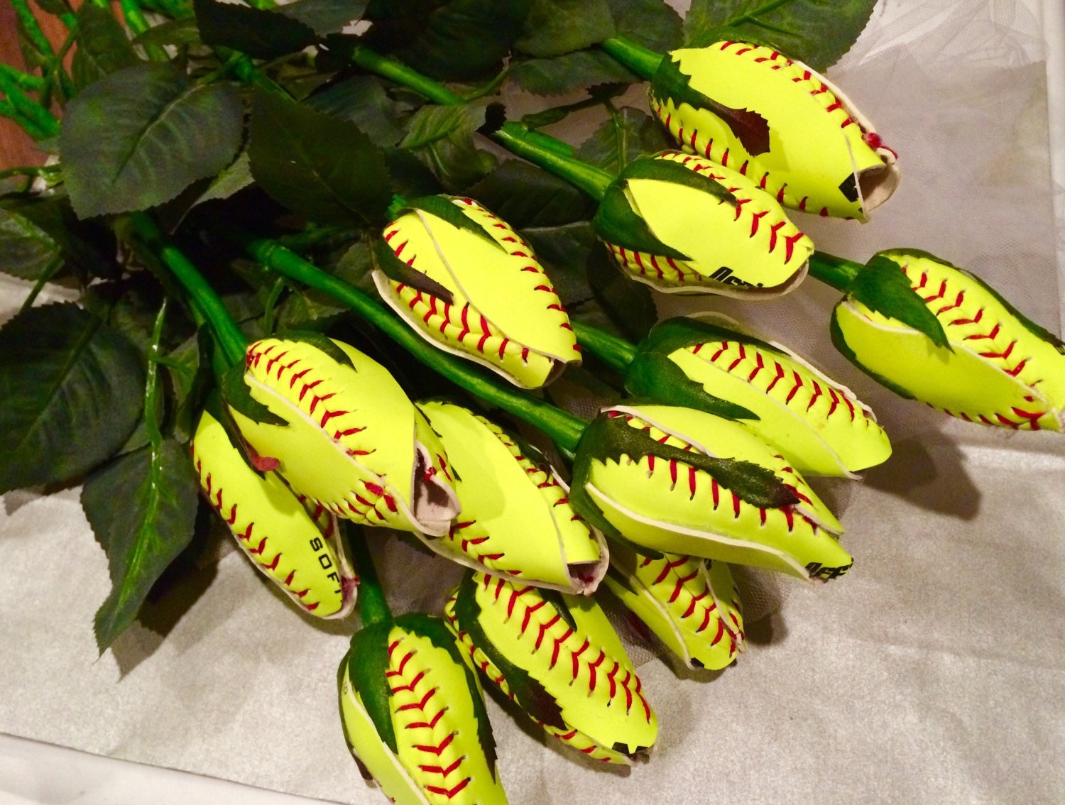 6 Softball Long Stem Rose Buds 1/2 dozen