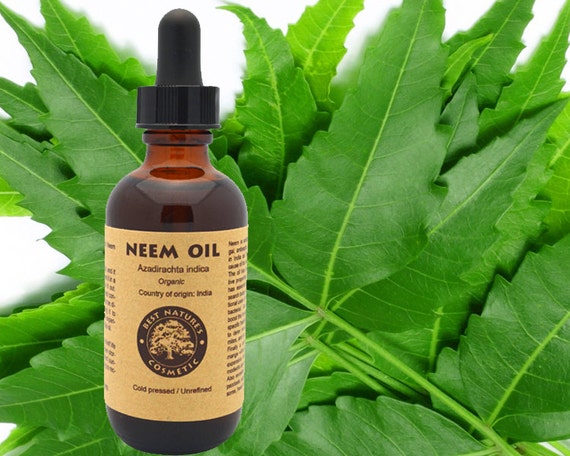 Natural Itchy Dog Relief Spray with Neem Oil and Soothing ...