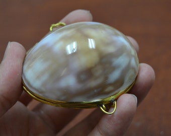 purple COWRIE SHELL TRINKET Box Coin Purse