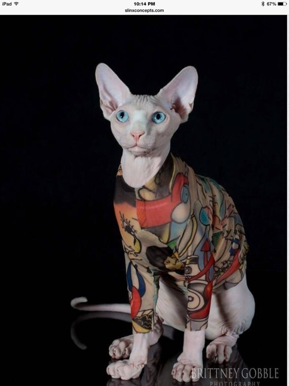 Long Sleeve Sphynx Cat Clothes in Rock A Billy by by SimplySphynx