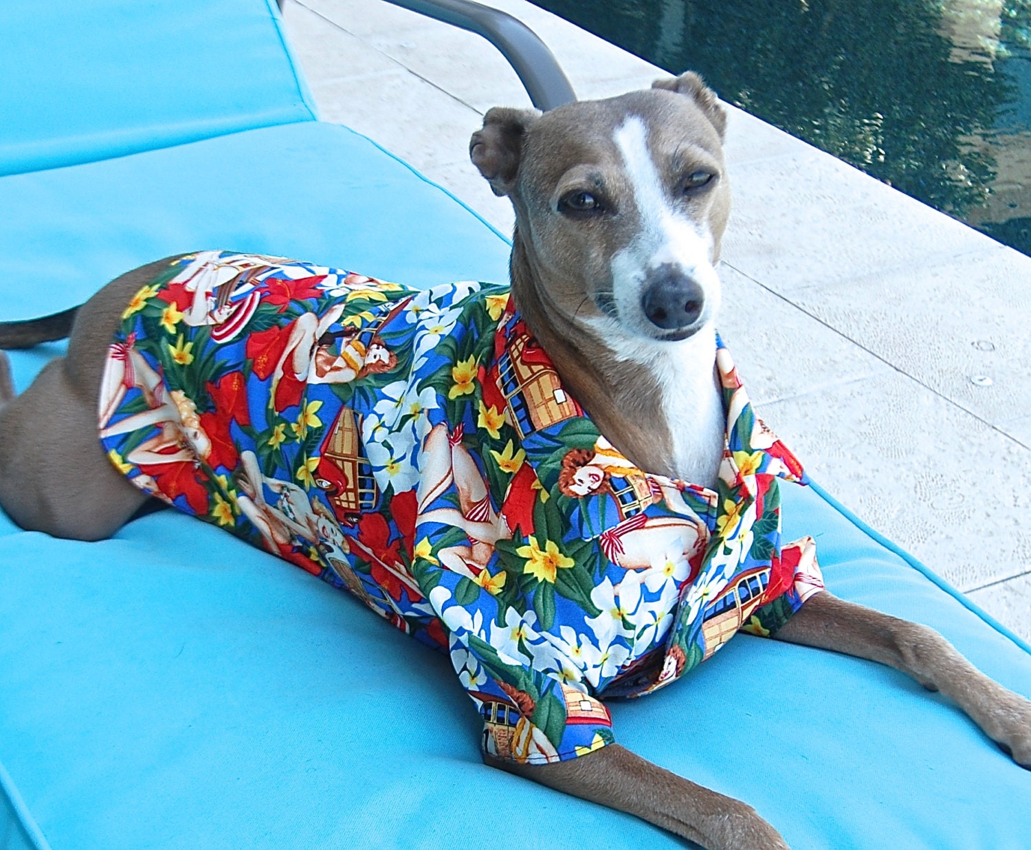 dog hawaiian shirt amazon