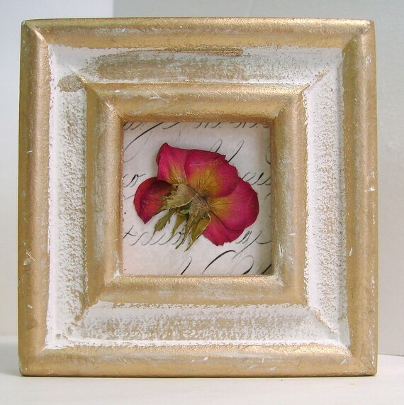 Pressed rose picture Framed rose flower Real by designedbymarylou